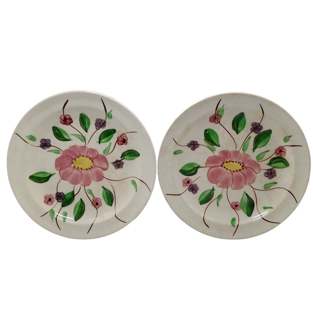 Blue Ridge Southern Pottery Plates Cumberland Bread Hand Painted Set of Two SEE‎